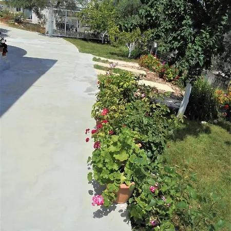Vila Ferre